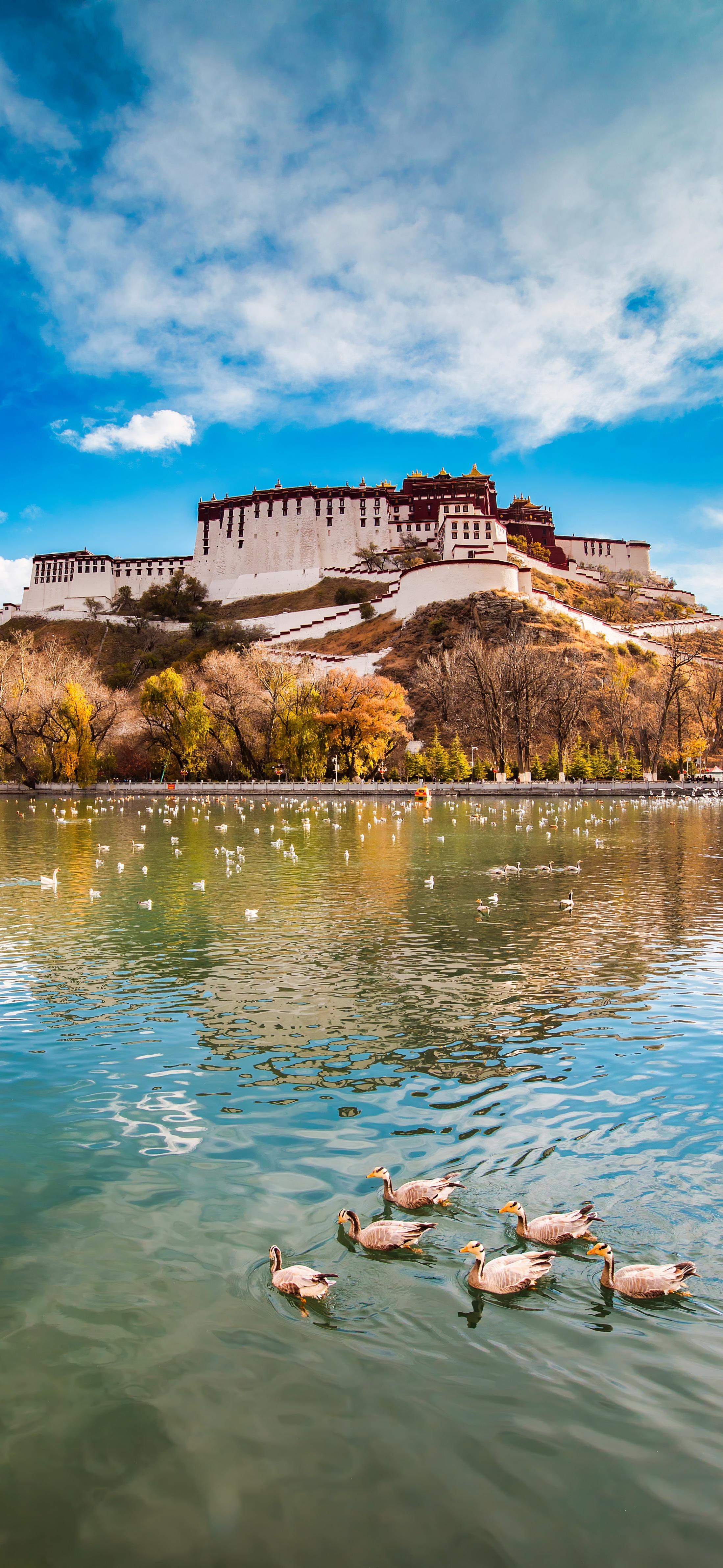 探寻西藏,心灵净土的神秘呼唤