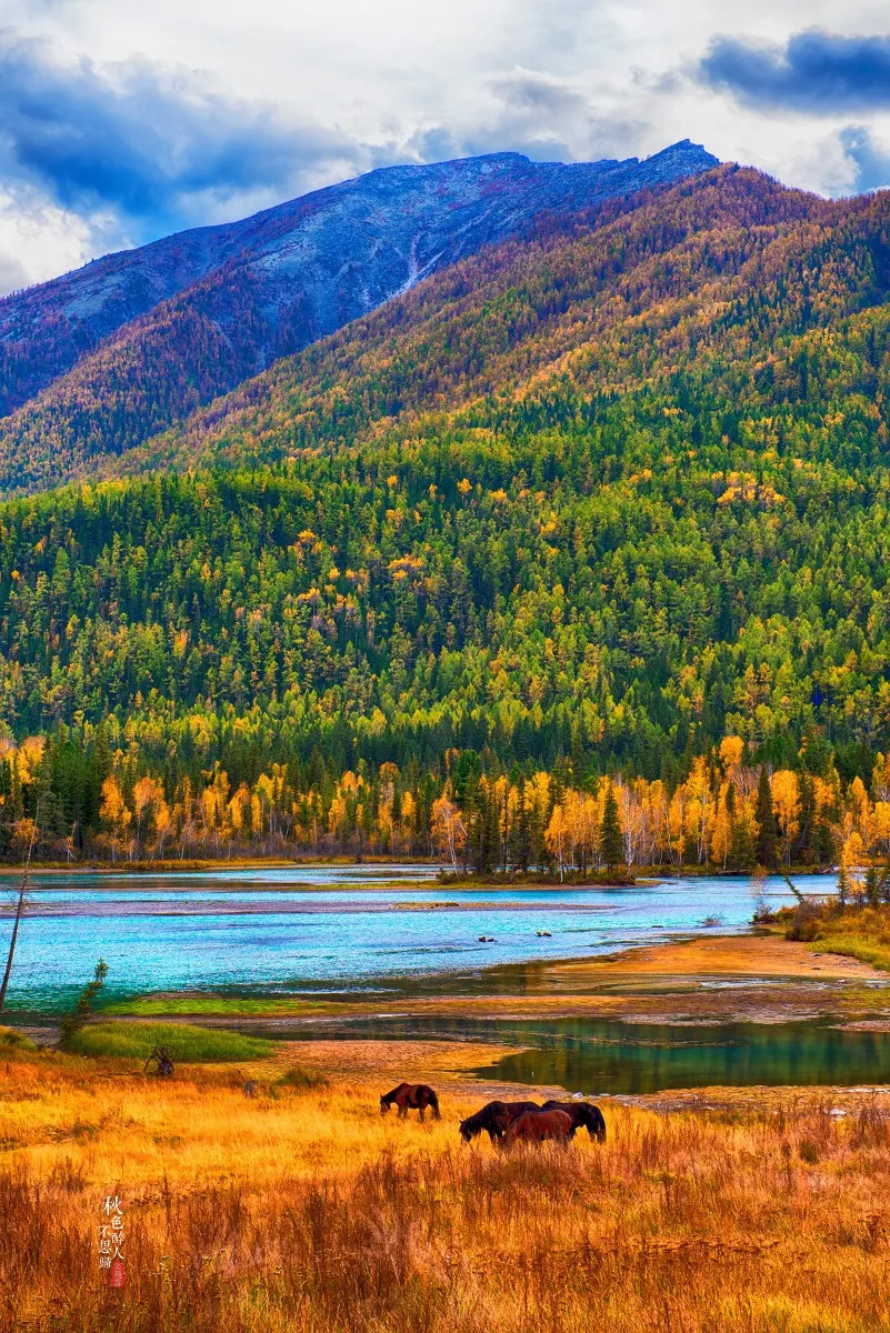 新疆印记,青春的脚步与梦想同行