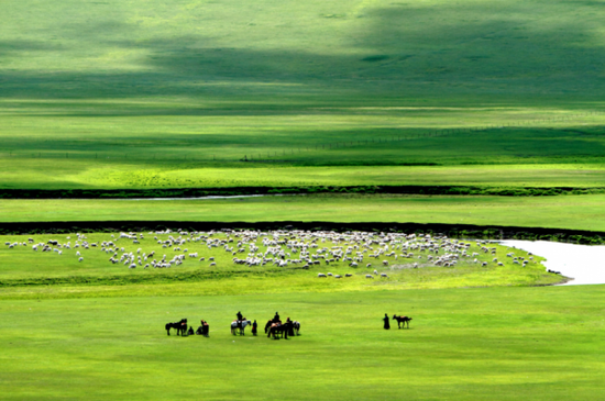 呼伦贝尔,自然美景的探索之旅,寻觅内心平和的胜地