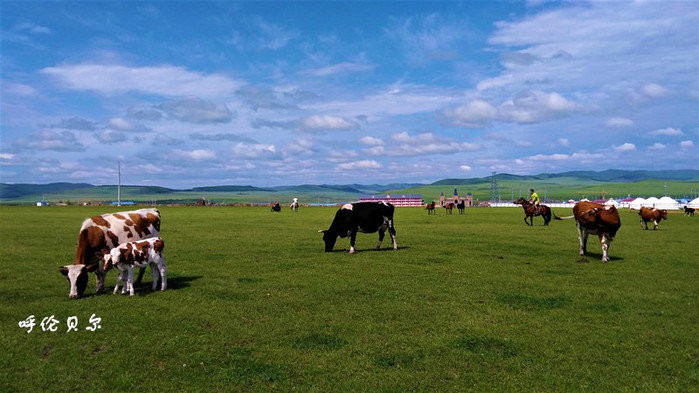 呼伦贝尔,自然美景的探索之旅,寻觅内心平和的胜地