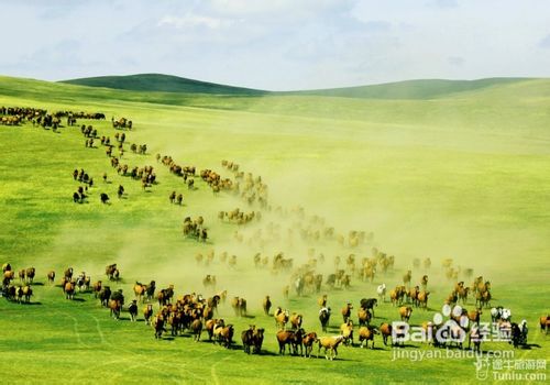 呼伦贝尔,自然美景的探索之旅,寻觅内心平和的胜地