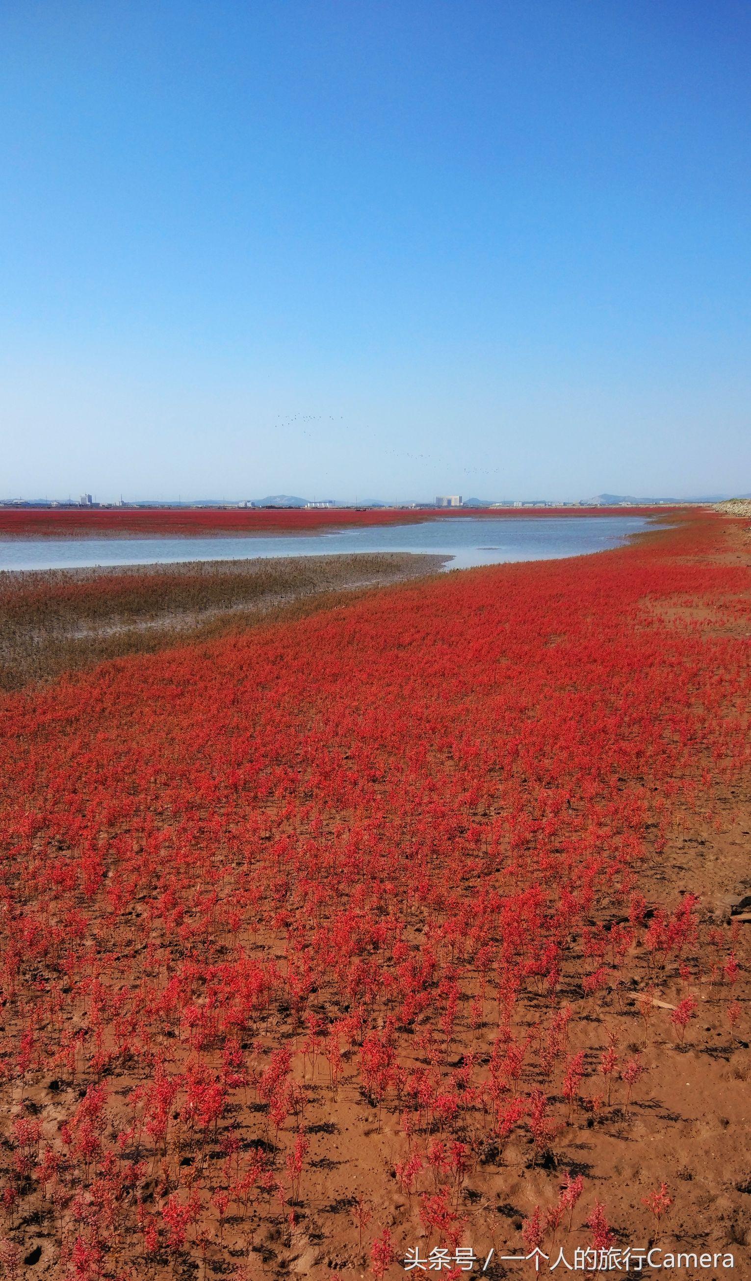 锦州的魅力与故事